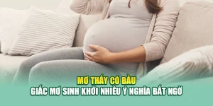 Mơ Thấy Có Bầu – Giấc Mơ Sinh Khởi Nhiều Ý Nghĩa Bất Ngờ